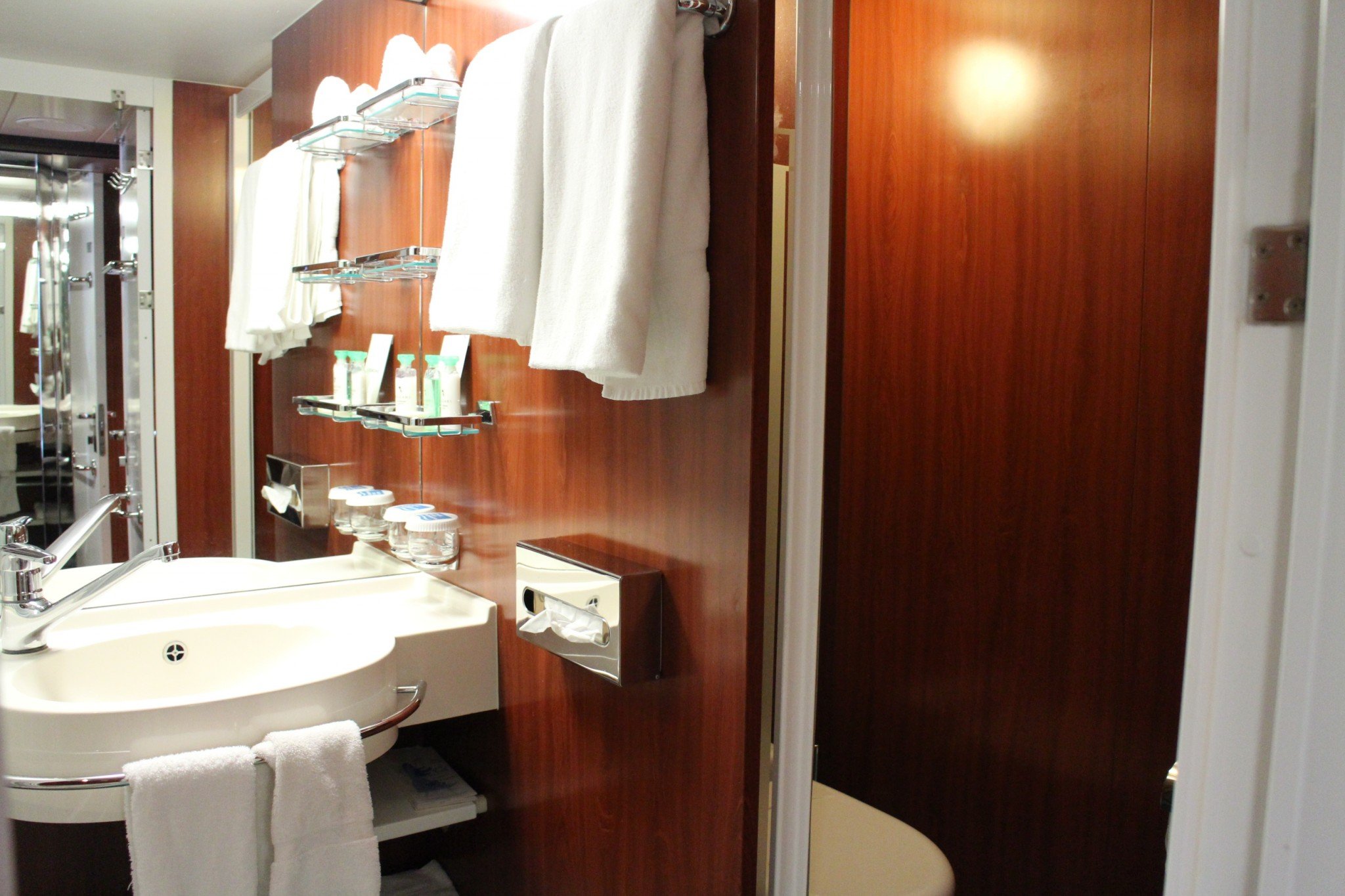 Norwegian Jewel Forward Penthouse with Large Balcony bathroomn2