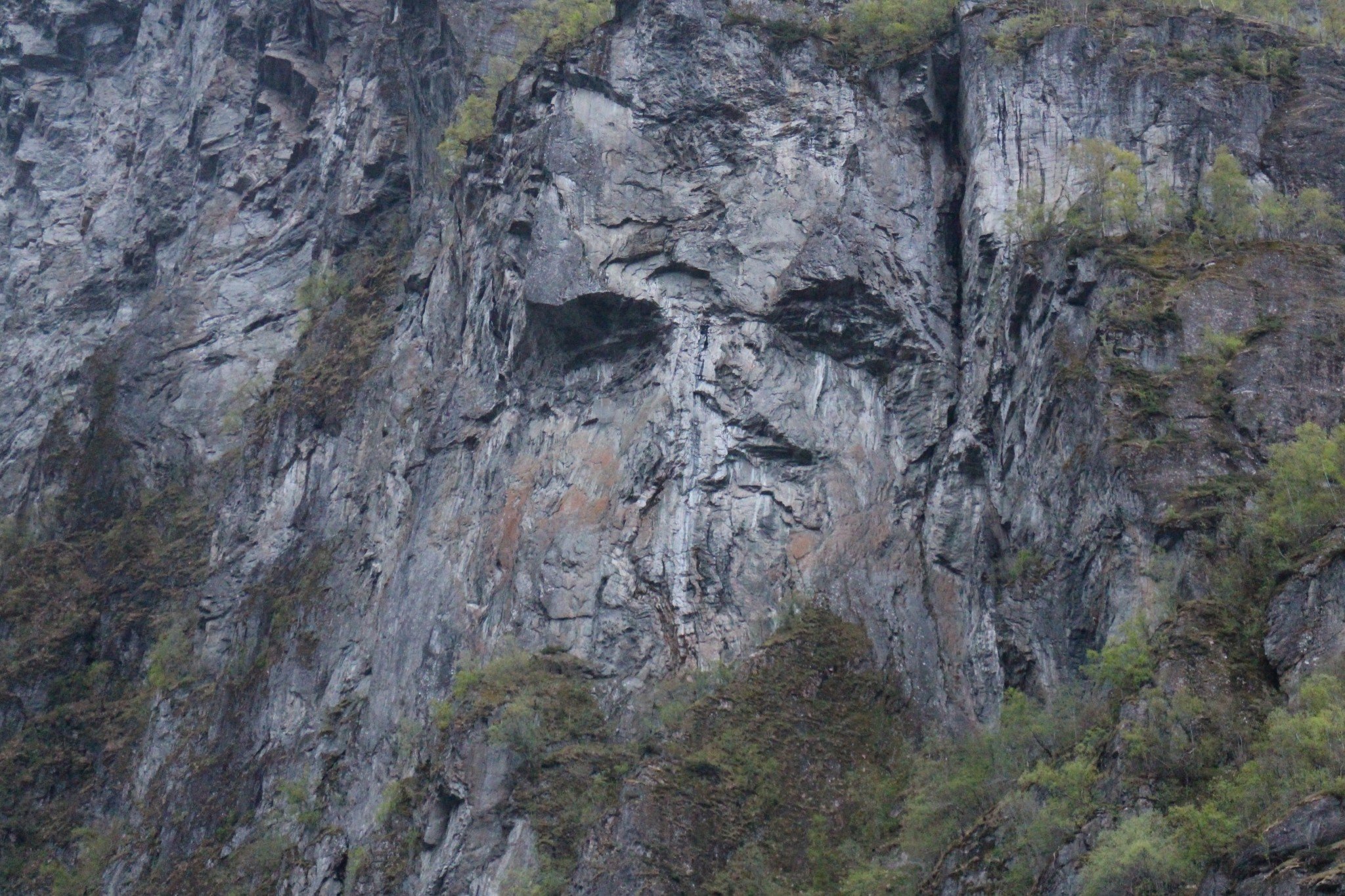 Norway Troll