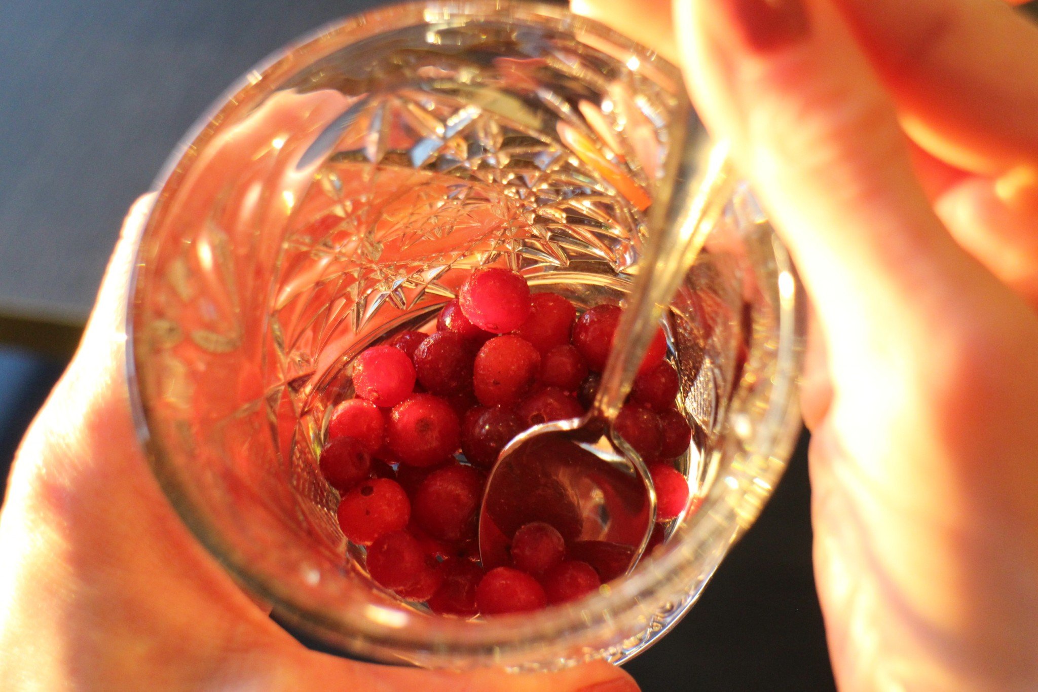 Viking Gabriella Living Room