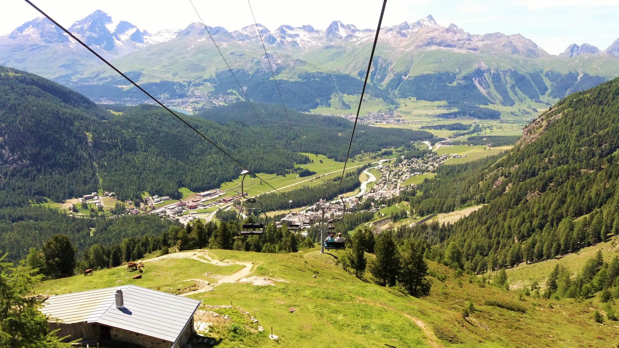 Alp Languard Switzerland
