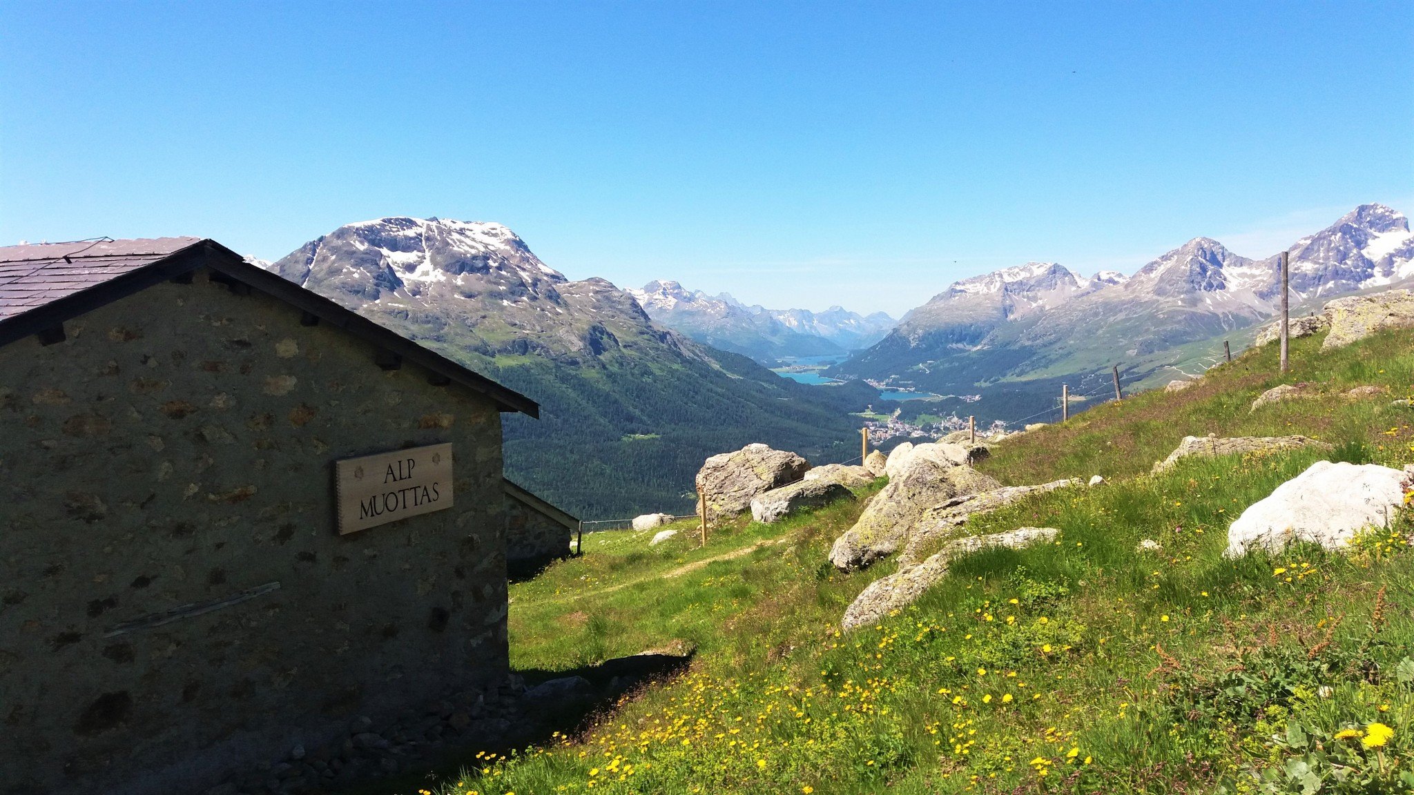 Alp Muottas