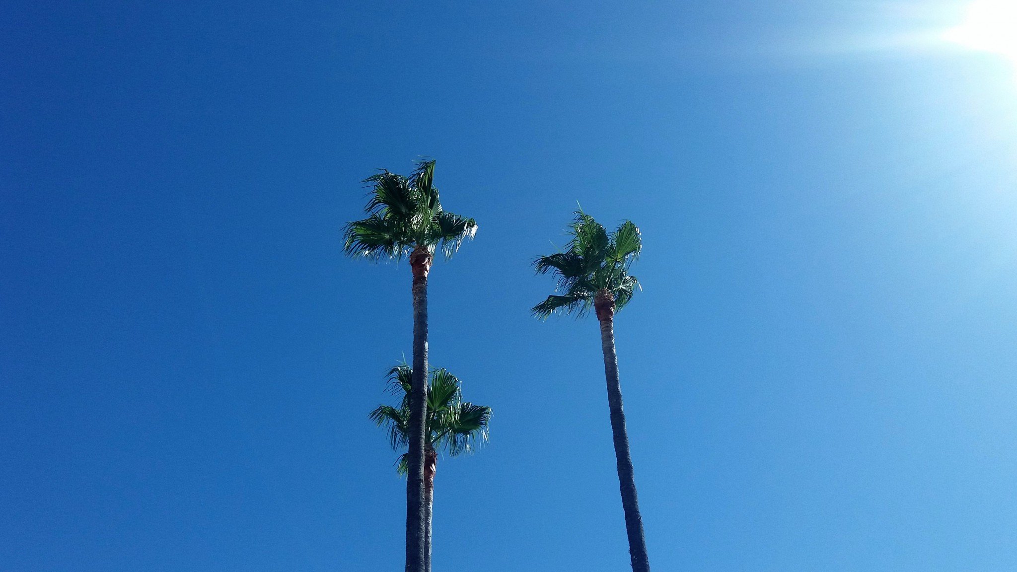 Costa Del Sol Espanja