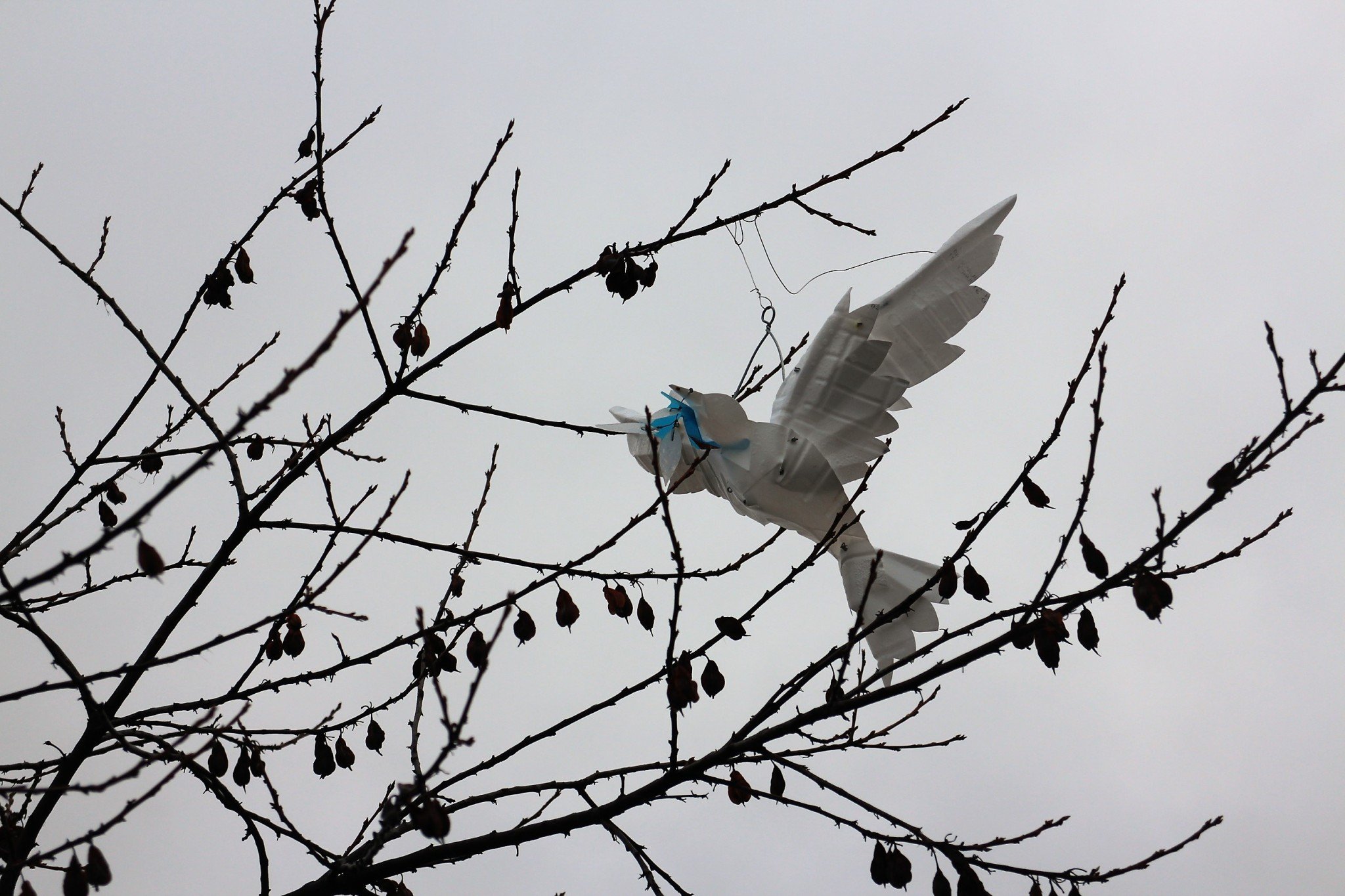 Berlin Holocaust-muistomerkki lintu