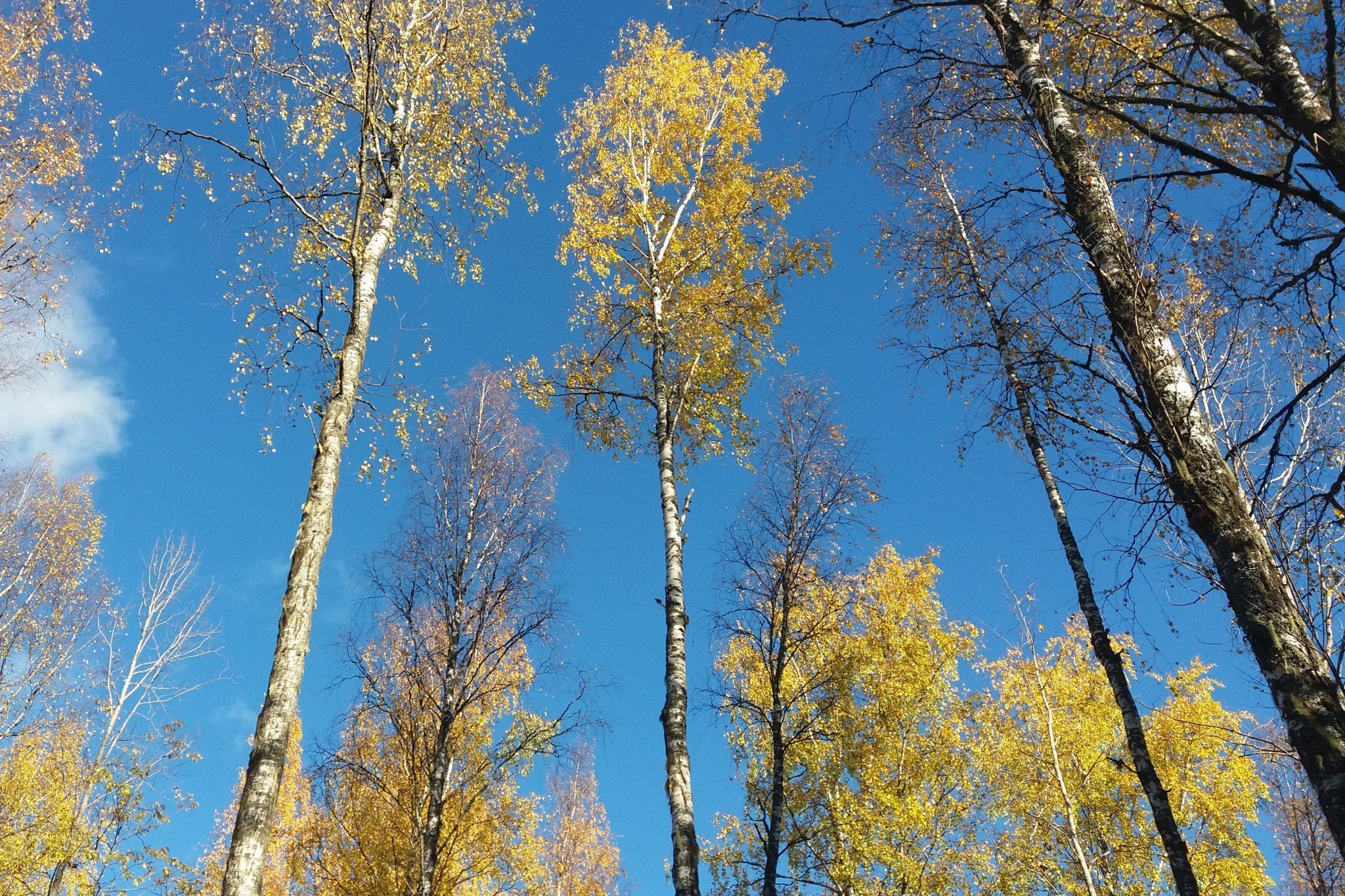 Helou, vieläkö muistatte minut?