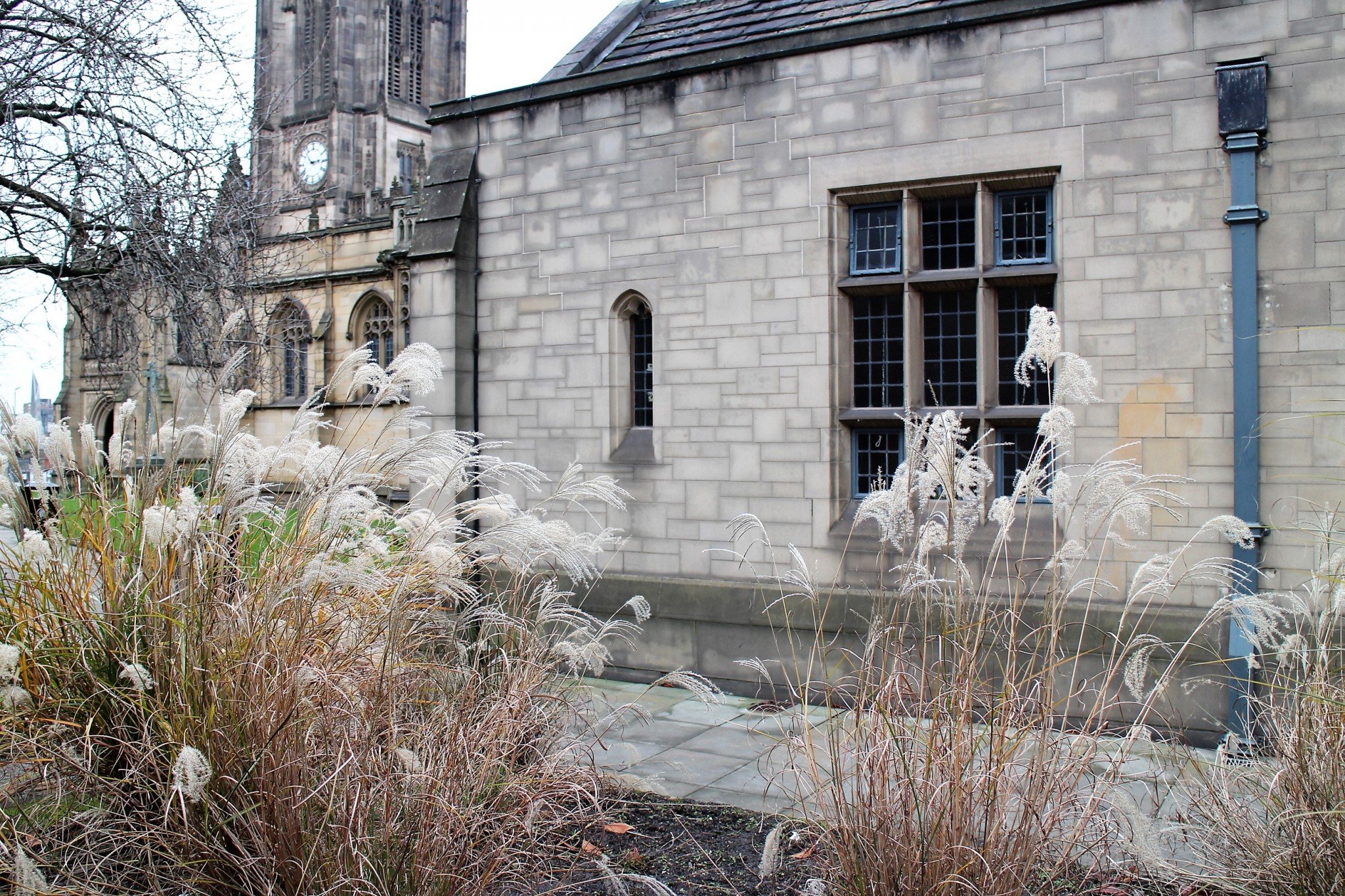 Manchester Cathetdral 2