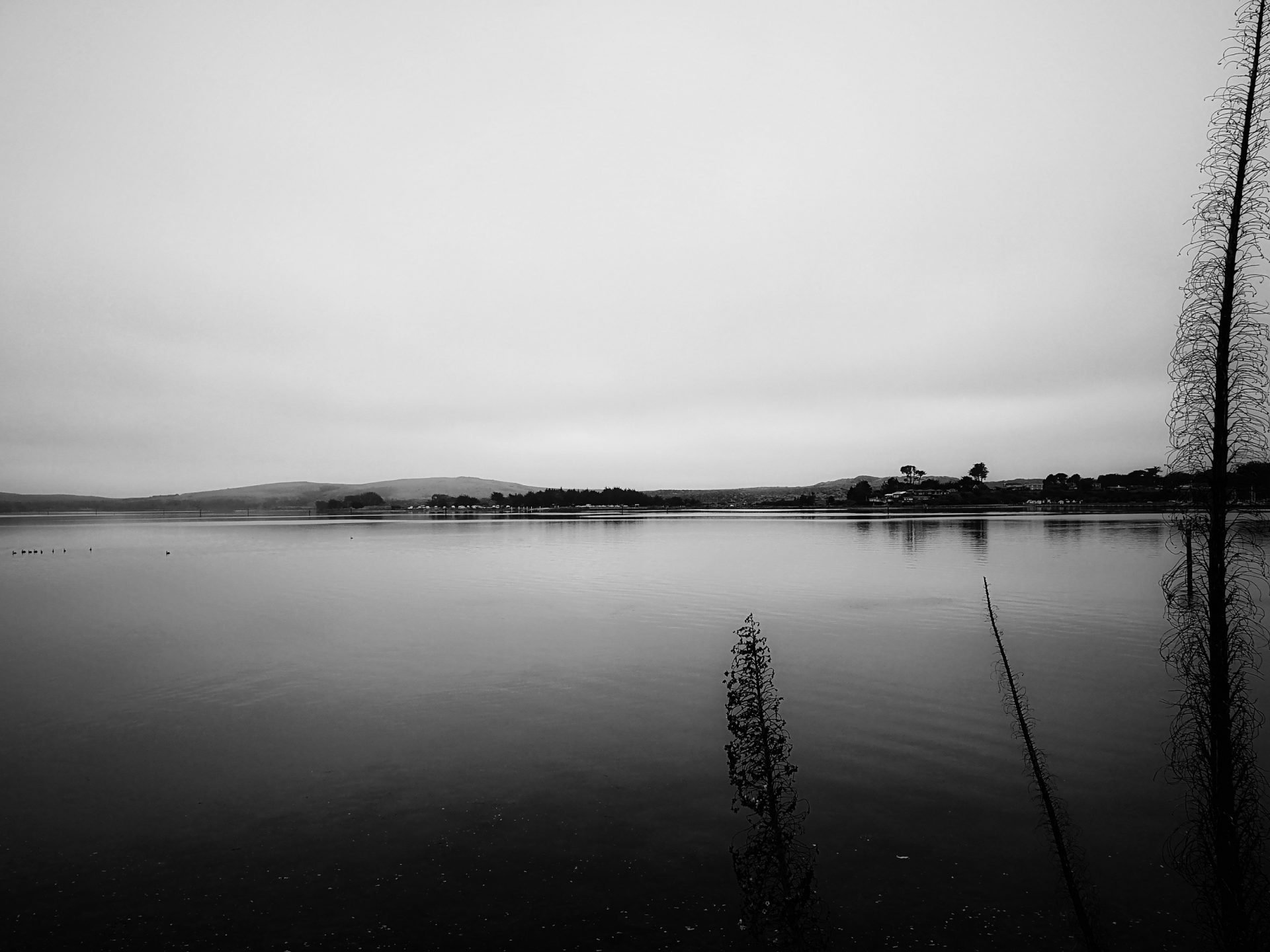 Akuutti stressireaktio: Mitä nyt kuuluu ja tulevat pikkureissut