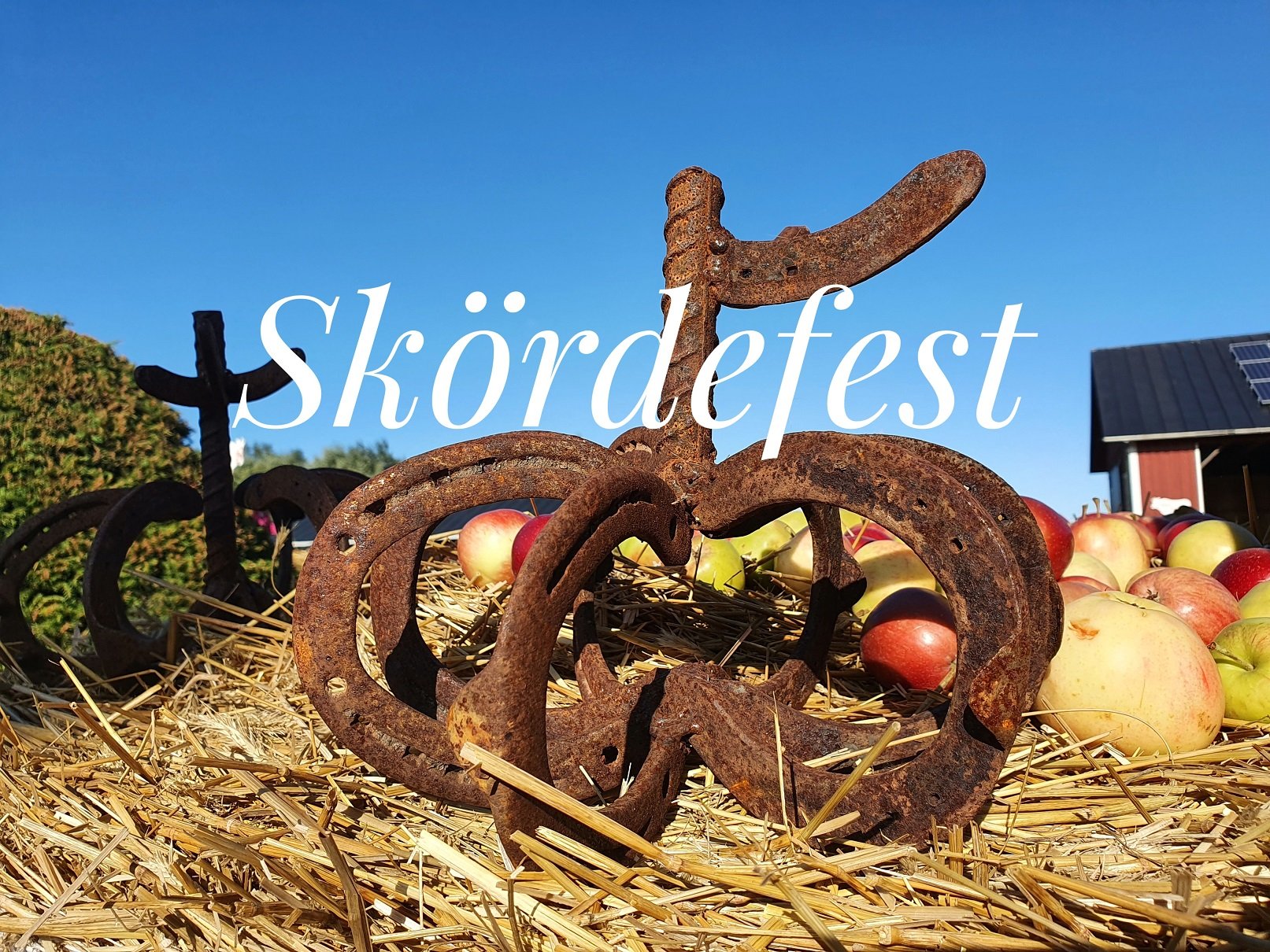 Sadonkorjuuristeily Ahvenanmaalle ja Skördefest on syksyn must!