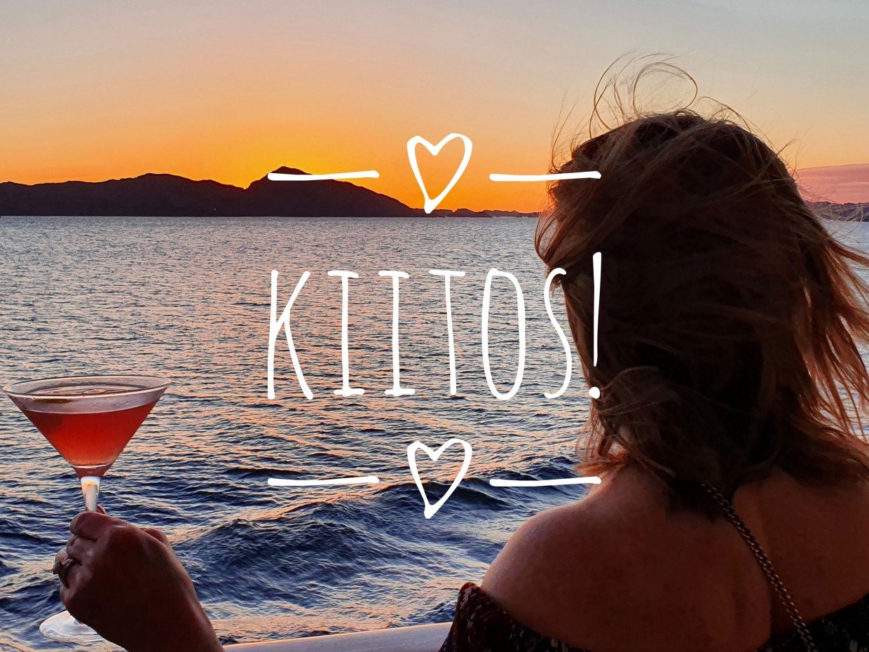 Kiitos, te risteilyjen ja hotellilomien ystävät!