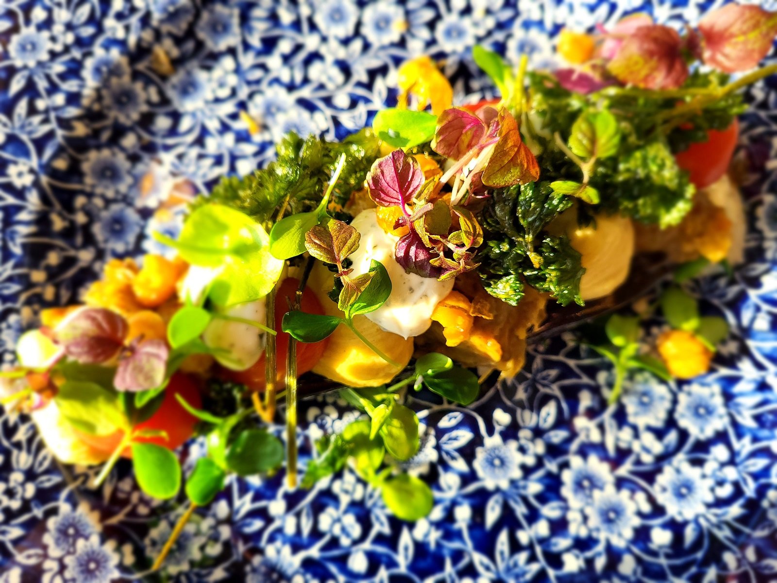 Viking Line A la carte kasvisruoka