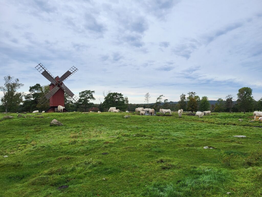 Viking Line erikoisristeily Sadonkorjuujuhlat Bolstaholmin tila