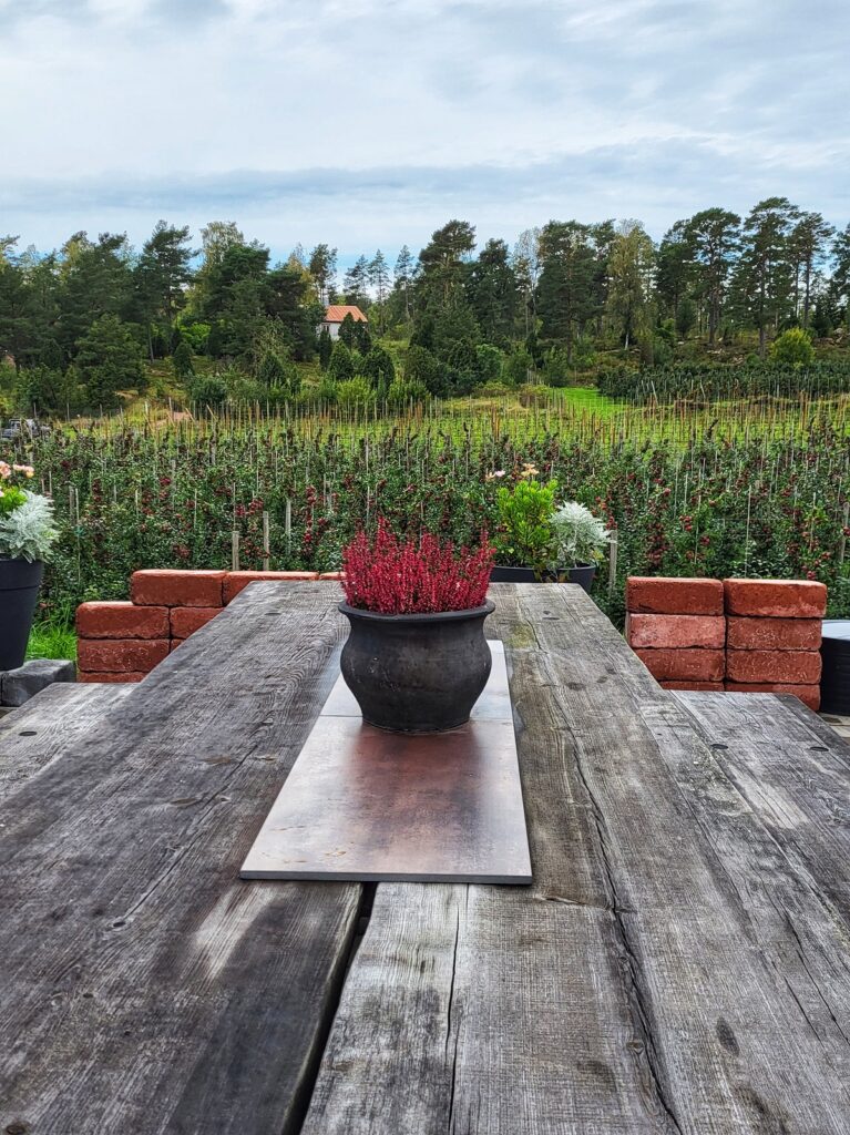 Grannas Bistro terassi omenatarha