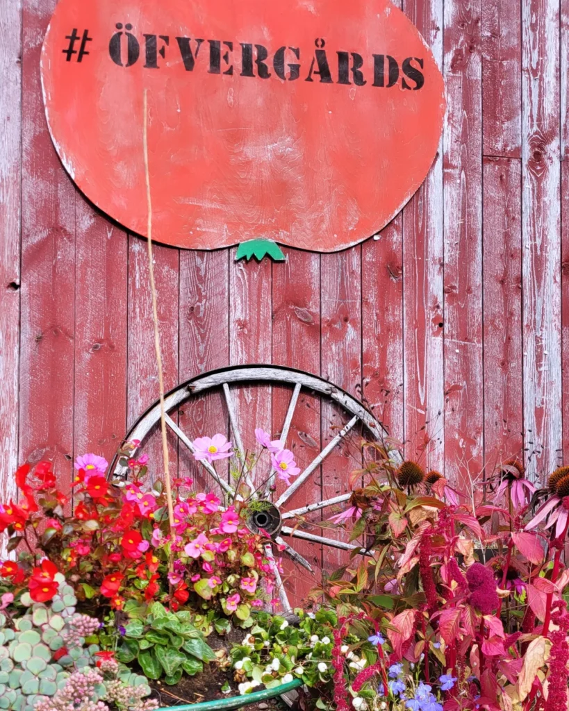 Viking Line erikoisristeily Sadonkorjuujuhlat vinkkejä Öfvergårds