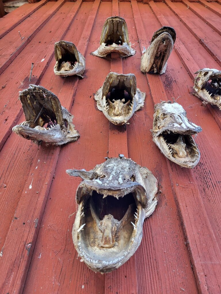 Tukholma Fjäderholmarna