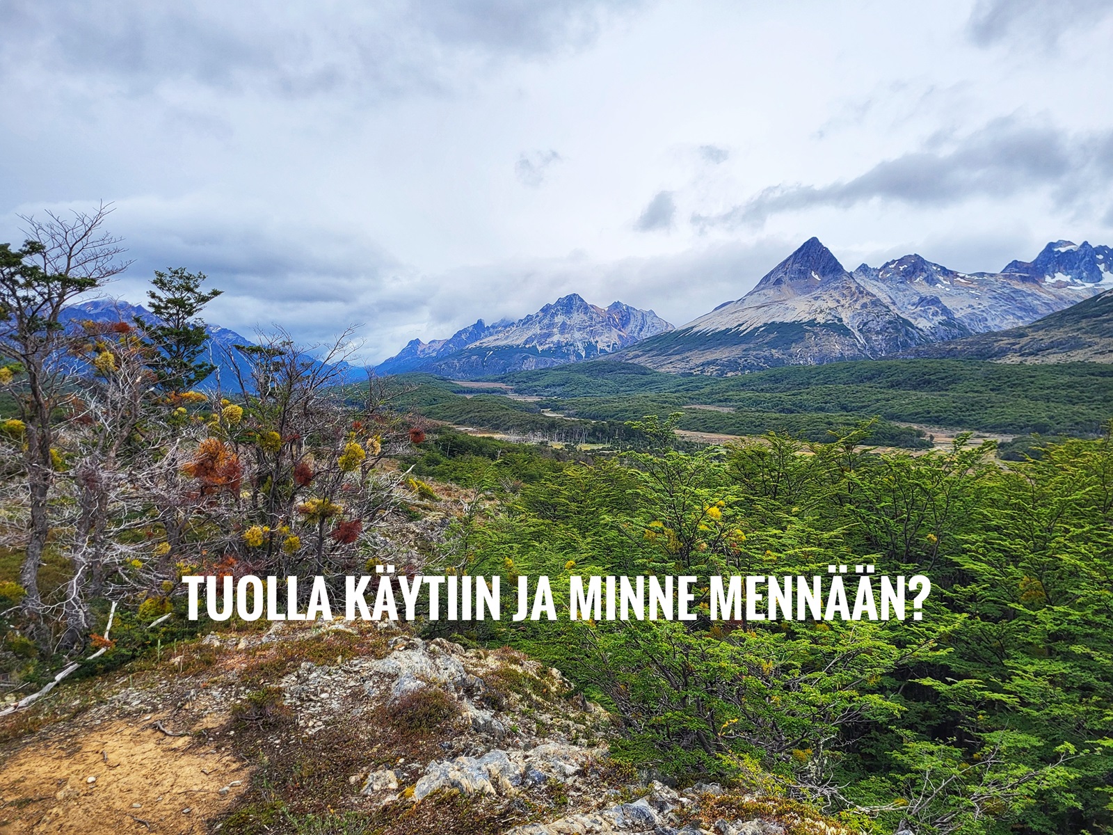 Näin sitä reissattiin vuonna 2024!