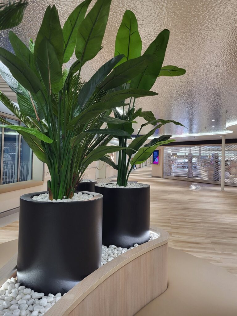 Baltic Princess uudistus