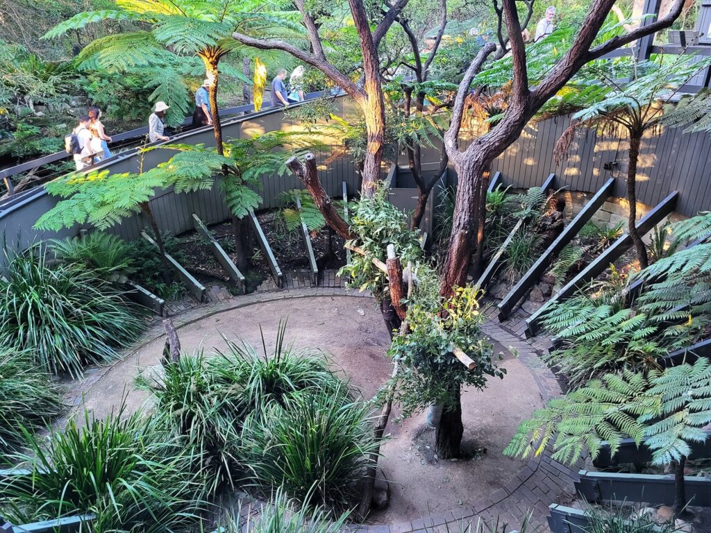 Taronga Zoo eläimet